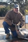 Cull Whitetail