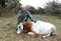 36 inchScimitar-horned Oryx