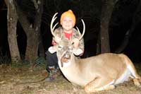 Whitetail cull buck