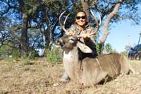 Whitetail scoring 120