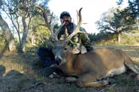 Whitetail scoring 262