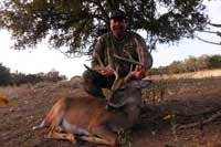 Whitetail scoring 136