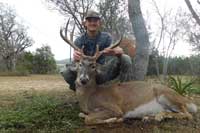 Whitetail buck scoring 155