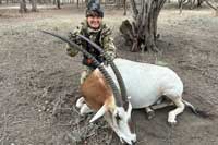 37 inch Scimitar-horned Oryx